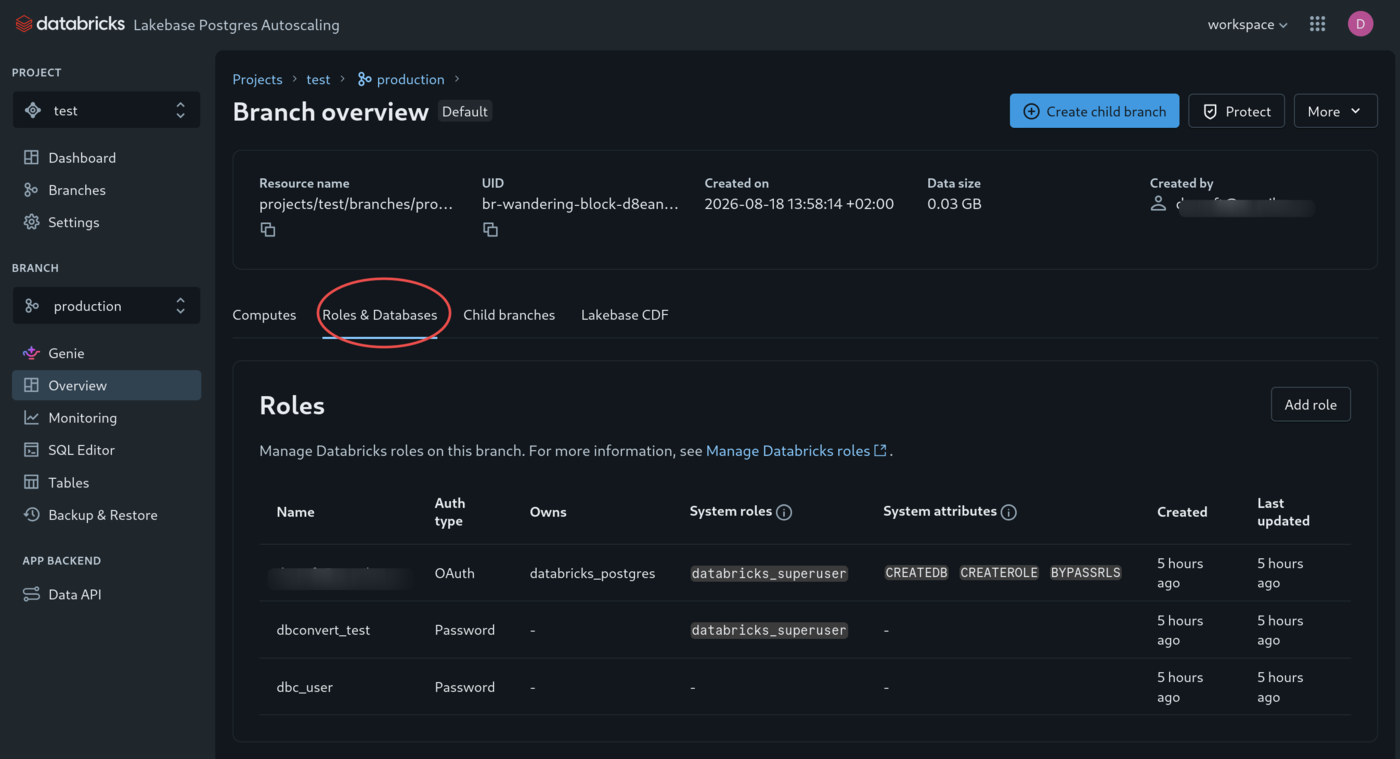 Roles and Databases tab in a Lakebase branch