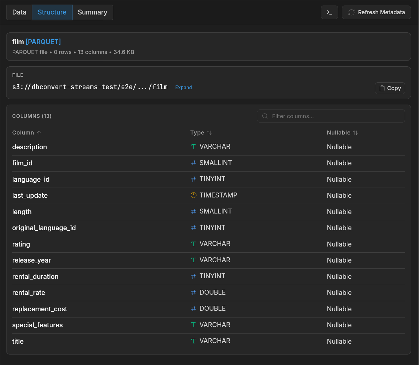 File structure view showing Parquet file columns and metadata
